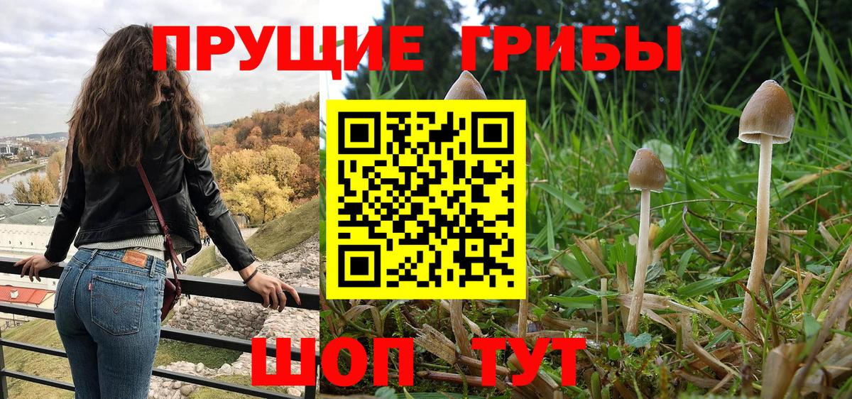 Галлюциногенные грибы Psilocybe Бахчисарай