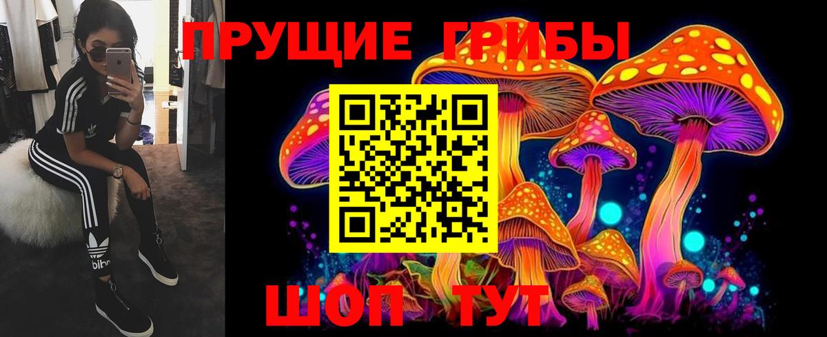 купить   Вход с VPN  Псилоцибиновые грибы прущие грибы  Бахчисарай  Псилоцибиновые грибы прущие грибы 
